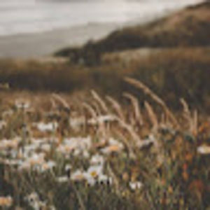 Meet your Posher, Sicily